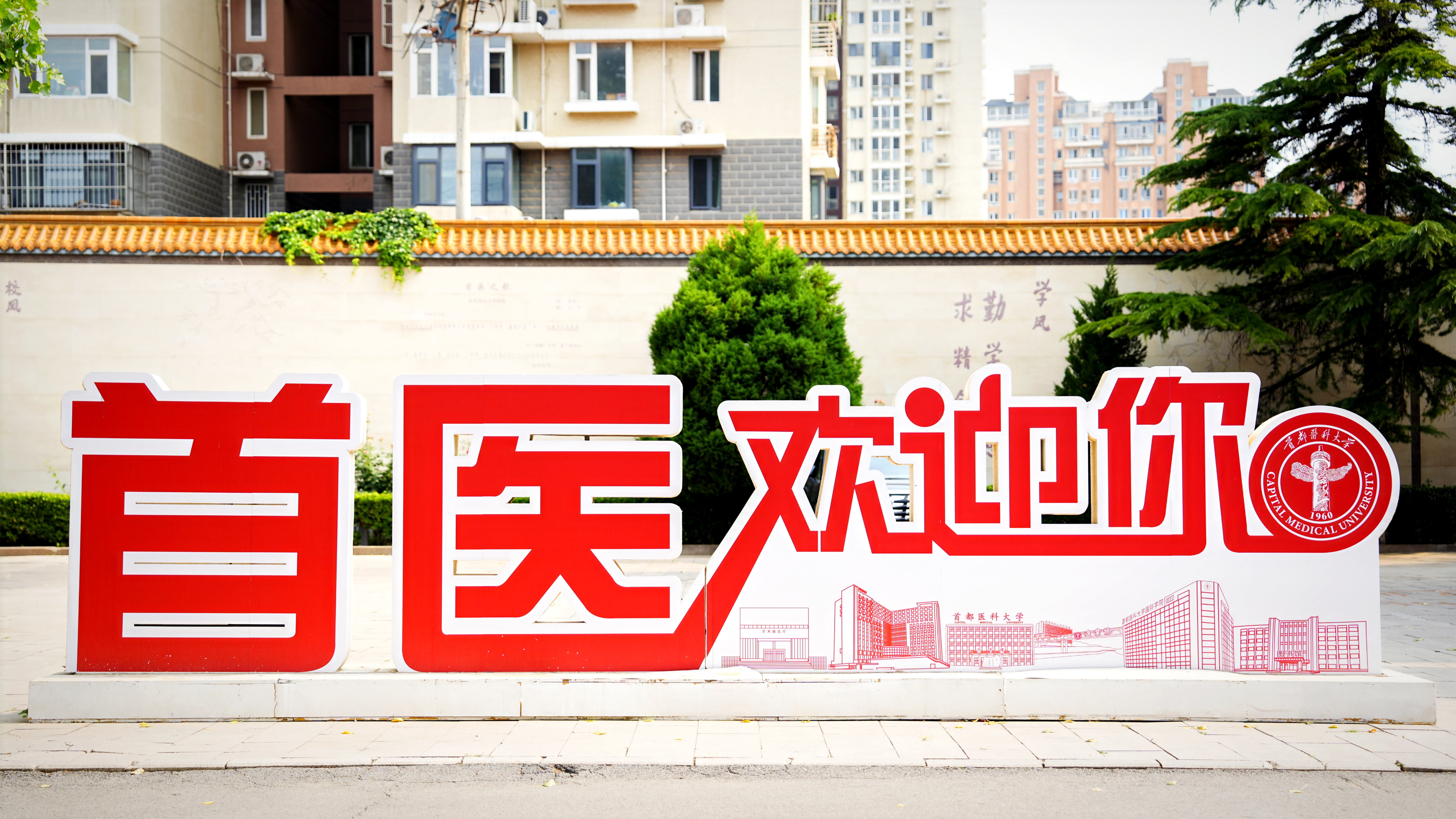 IMG_20250613_162523-opq3723137449 (1).jpg